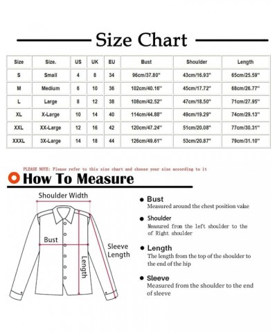 Women’s Long Sleeve Sweatshirts Trendy Solid Crewneck Casual Shirts Loose Fit Plus Size Pullover Fall Tops Blouse 3 Blue $9.9...
