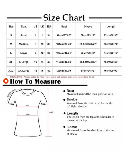 Long Sleeve Tops for Women Casual Cozy Fleece Pullover Shirt Loose Fit Crew Neck Blouse Lightweight Soft Sweatshirts 1black $...