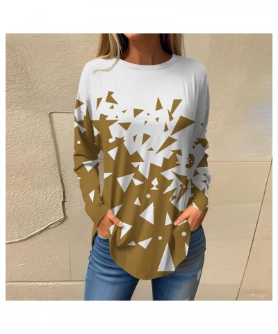 Fall Blouses for Women 2023 Long Sleeve Crewneck Basic Tops Oversized Fashion Soft Tunic to Wear with Leggings Shirts 2-earth...